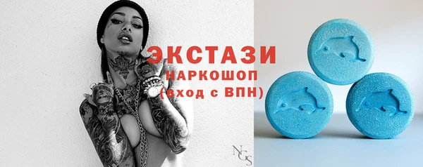 дмт Инта