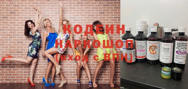 сатива Иннополис