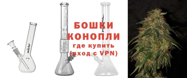 дмт Инта