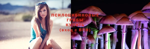 дмт Инта