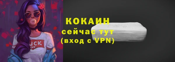 дмт Инта