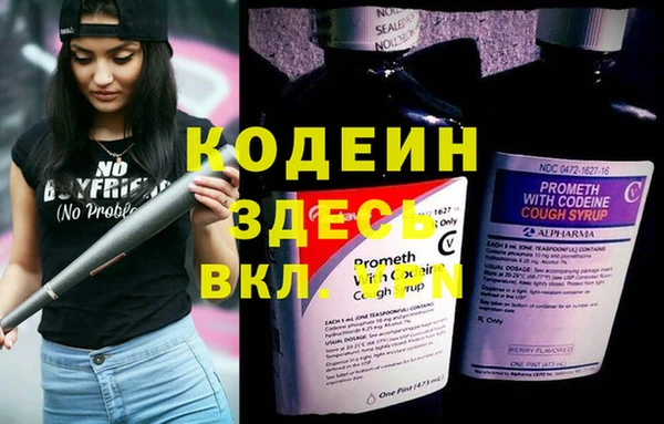 дмт Инта