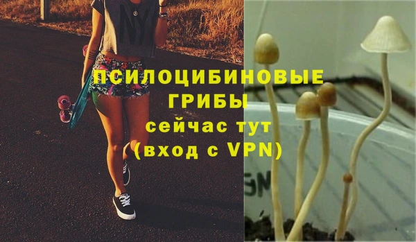 дмт Инта