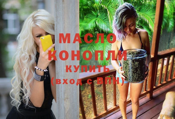 дмт Инта