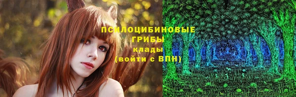 эйфоретик Инсар