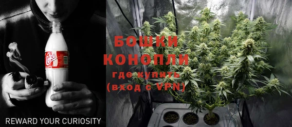 сатива Иннополис