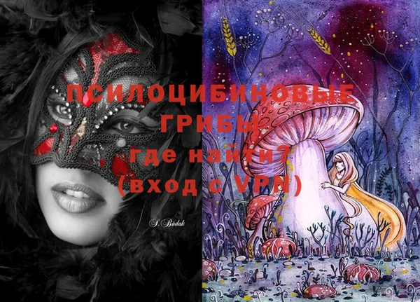 эйфоретик Инсар
