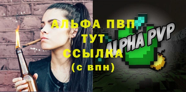 сатива Иннополис