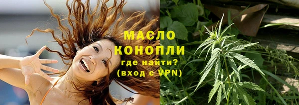 сатива Иннополис