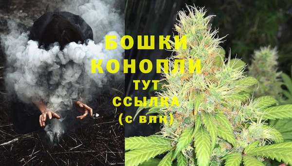 сатива Иннополис