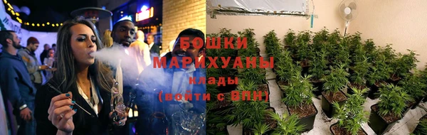 дмт Инта