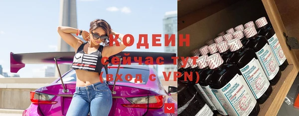 сатива Иннополис
