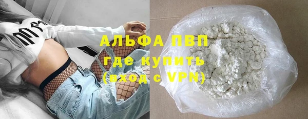 дмт Инта