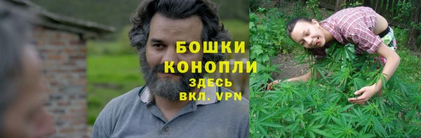 дмт Инта