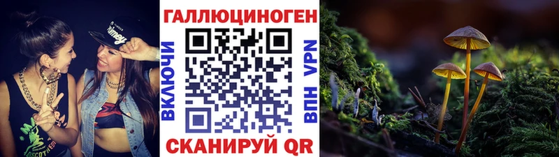 сколько стоит  Инта  Псилоцибиновые грибы прущие грибы 