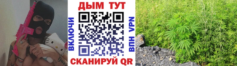 это состав  Инта  Каннабис семена  где найти наркотики 
